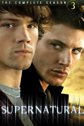Mystery Spot